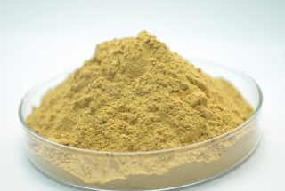BENTONITE – HIGEL DMC